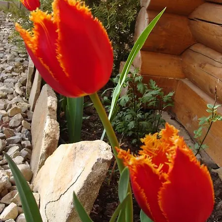 Glanz Bed & Breakfast 3*