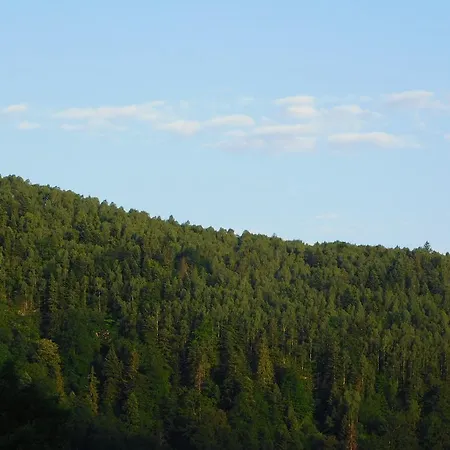 Glanz Bed & Breakfast Yaremche